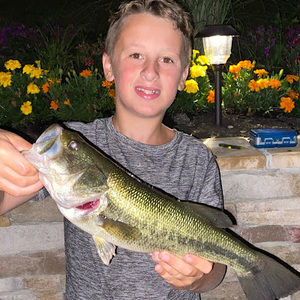 Meet your Posher, Owen biggs